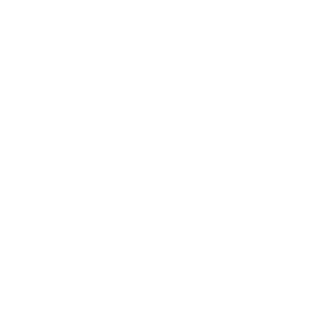         -   161 .