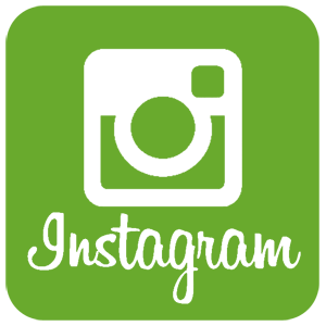 -  Instagram -   161 .