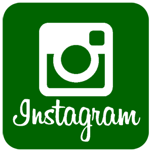   Instagram -   161 .