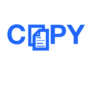   Copy -   31 .