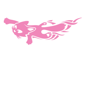        -   80 .