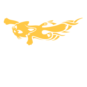        -   80 .