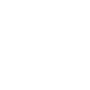          -   161 .