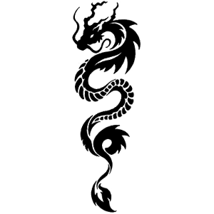  Dragon