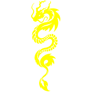 Dragon