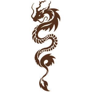  Dragon