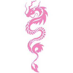  Dragon
