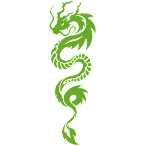  Dragon