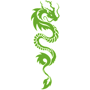    -  Dragon -   110 .