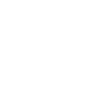      Dragon -   110 .
