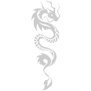    -  Dragon -   110 .