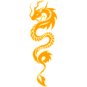  Dragon