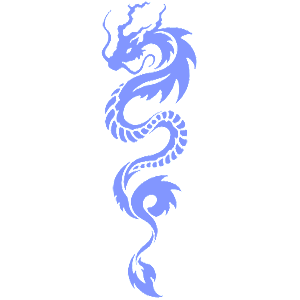  Dragon