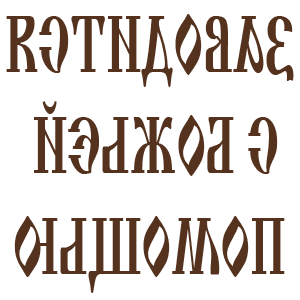          -   231 .