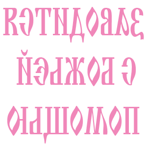          -   231 .