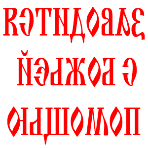          -   231 .