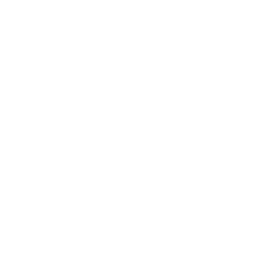    -   95 .