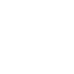      Car -   24 .