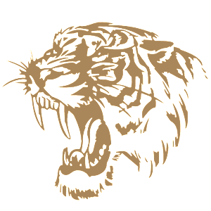    -   -   224 .