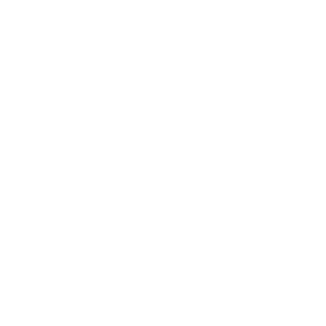        -   161 .