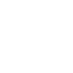         -   -   161 .