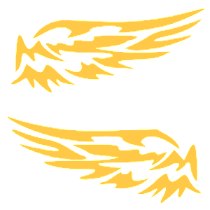 ����������� �� ����������� ������� �������� �������� - ������ �� 196 ���.