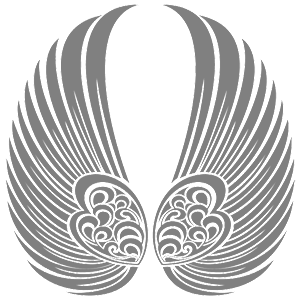 ����������� �� ����������� ����� �������� �������� ������� - ������ �� 329 ���.