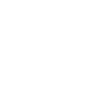    -   231 .