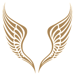 ����������� �� ����������� ������-���������� �������� �������� - ������ �� 231 ���.