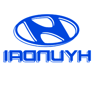       Hyundai -   110 .