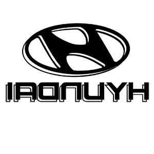       Hyundai -   110 .