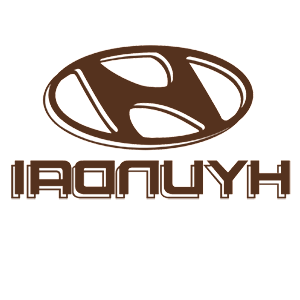       Hyundai -   110 .