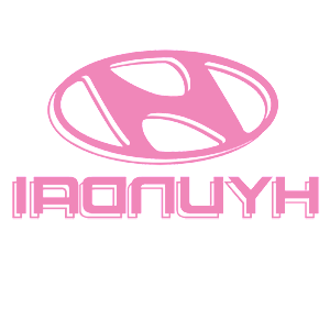       Hyundai -   110 .