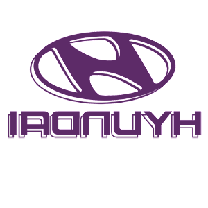       Hyundai -   110 .