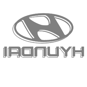       Hyundai -   110 .