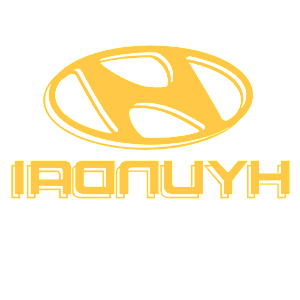       Hyundai -   110 .