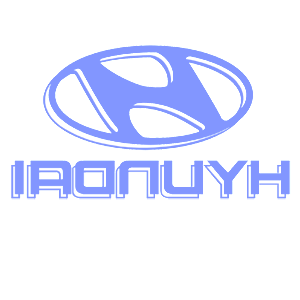       Hyundai -   110 .