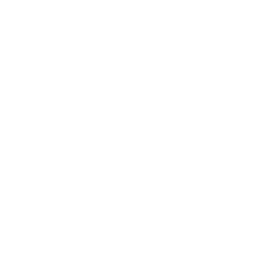    -   161 .