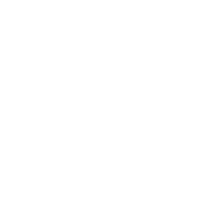      ,    ... -   85 .