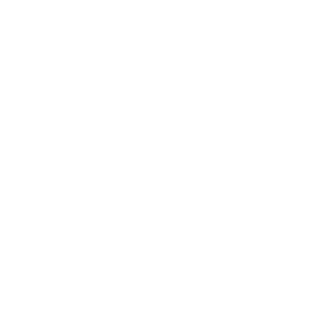         -   161 .