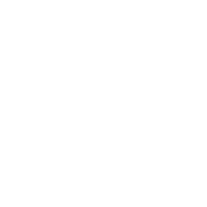      KIA Motors -   42 .