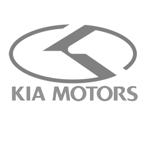   KIA Motors -   42 .