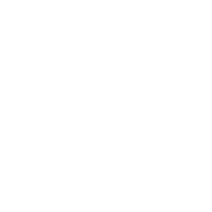      KIA Motors -   109 .
