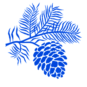 ����������� �� ����������� ����� �������� ������ �� ����� - ������ �� 213 ���.