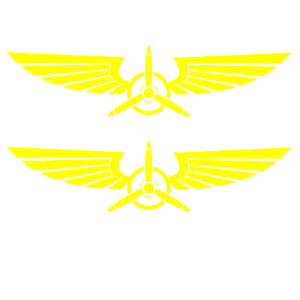     ,  -   100 .