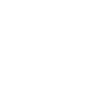        -   161 .