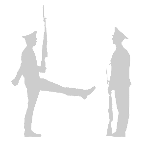        -   161 .