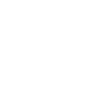        -   297 .