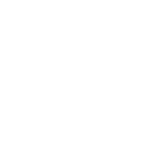      FIAT -   133 .