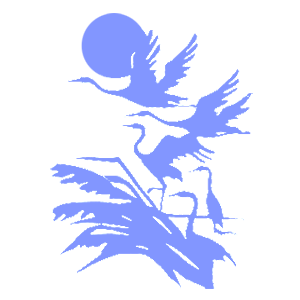    -   216 .